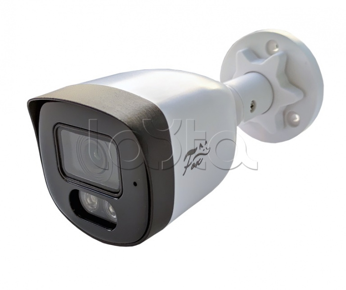 IP-камера видеонаблюдения в стандартном исполнении Fox FX-IPC-C40FP-IR H.265 AI