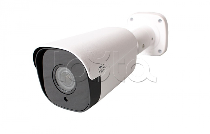 IP-камера видеонаблюдения в стандартном исполнении Fox FX-IPC-C20AP-IR H.265 Moto Zoom Audio&Alarm