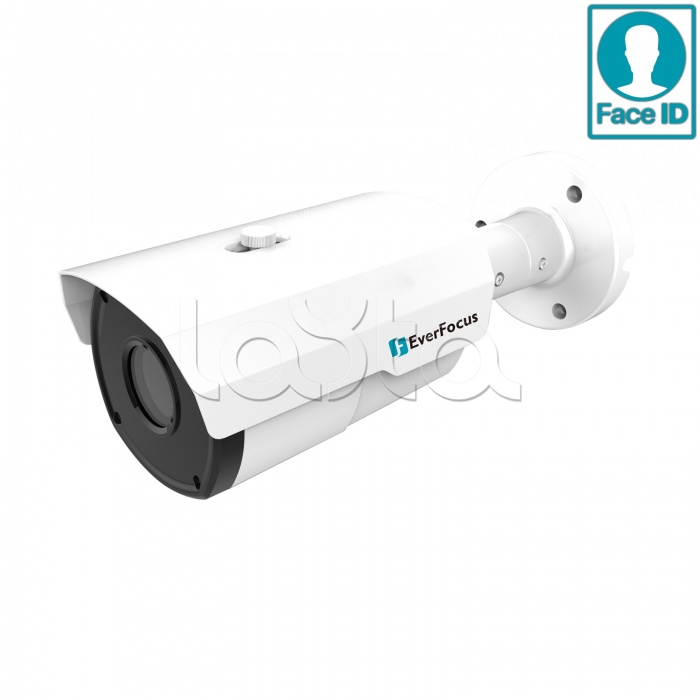 IP-камера видеонаблюдения в стандартном исполнении EverFocus EZN-2850