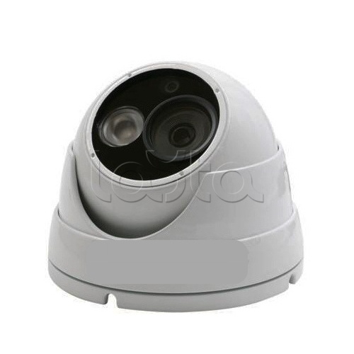 IP-камера видеонаблюдения купольная EverFocus ACE-IEB50P