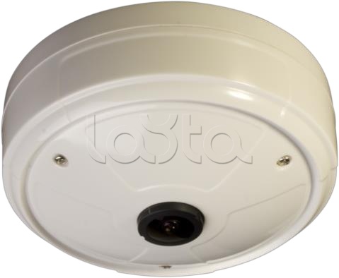 IP-камера видеонаблюдения купольная Smartec STC-IPMX3193A/1