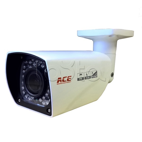 IP-камера видеонаблюдения уличная EverFocus ACE-AAV50SHD