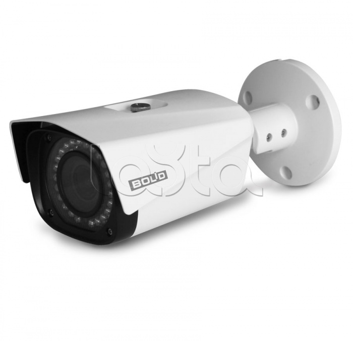 IP-камера видеонаблюдения уличная в стандартном исполнении Болид VCI-130