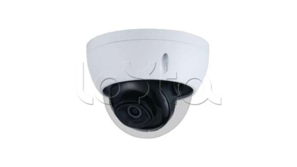 IP-камера видеонаблюдения купольная QTECH QVC-IPC-203SVD(2.8)