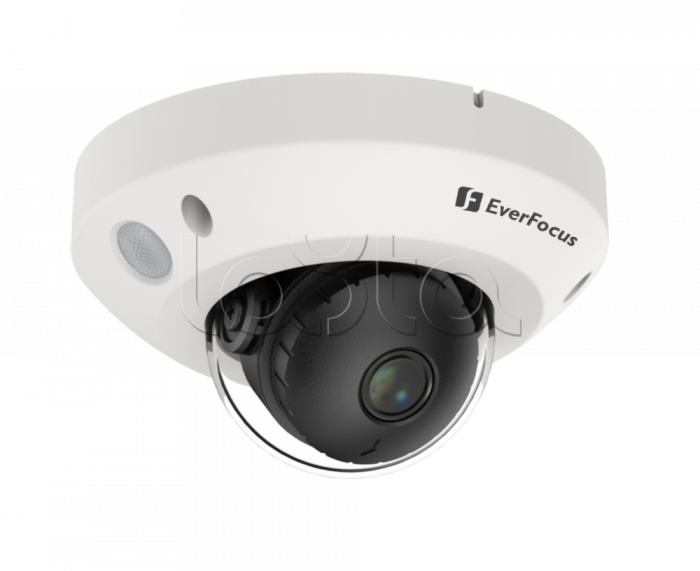 IP-камера видеонаблюдения купольная EverFocus EMN2560-SG