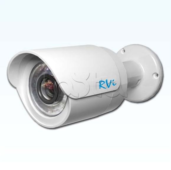 IP-камера видеонаблюдения уличная в стандартном исполнении RVi-IPC41DNS (3.6 мм)