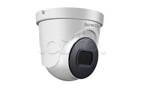 IP-камера видеонаблюдения купольная Falcon Eye FE-IPC-D2-30p