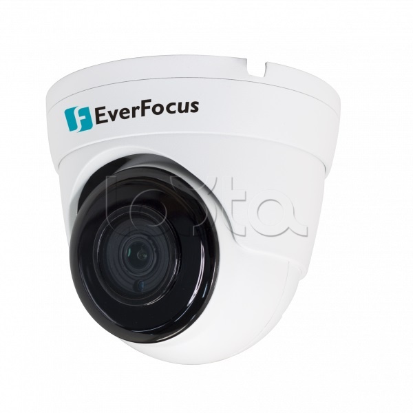 IP-камера видеонаблюдения купольная EverFocus EBN-1240-A