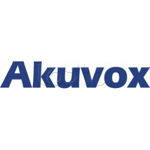 IP монитор (интерком-панель) Akuvox C313W_2W