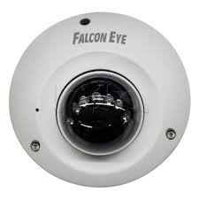 IP-камера видеонаблюдения купольная Falcon Eye FE-IPC-D2-10pm