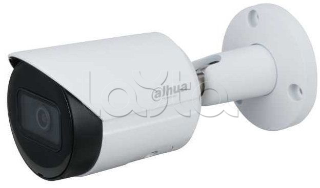 IP-камера видеонаблюдения в стандартном исполнении Dahua DH-IPC-HFW2431SP-S-0360B