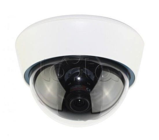 IP-камера видеонаблюдения купольная EverFocus ACE-IOV20A
