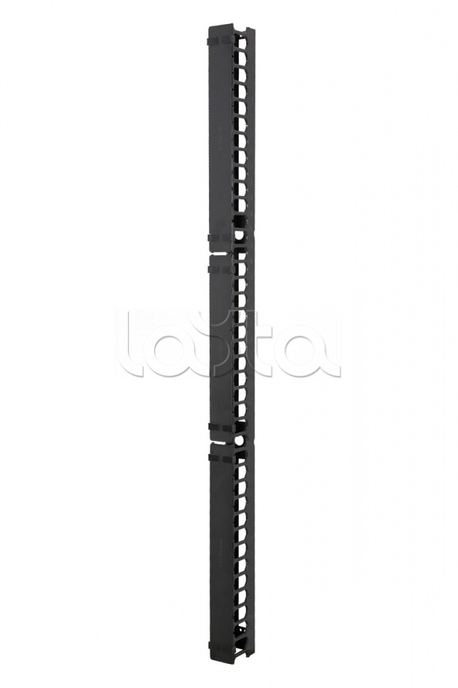 Вертикальный организатор с крышкой, 42U, (2 шт.), для шкафов шириной 750 мм Eurolan (60A-18-42-16-31BL)