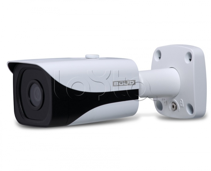 IP-камера видеонаблюдения уличная в стандартном исполнении Болид VCI-184