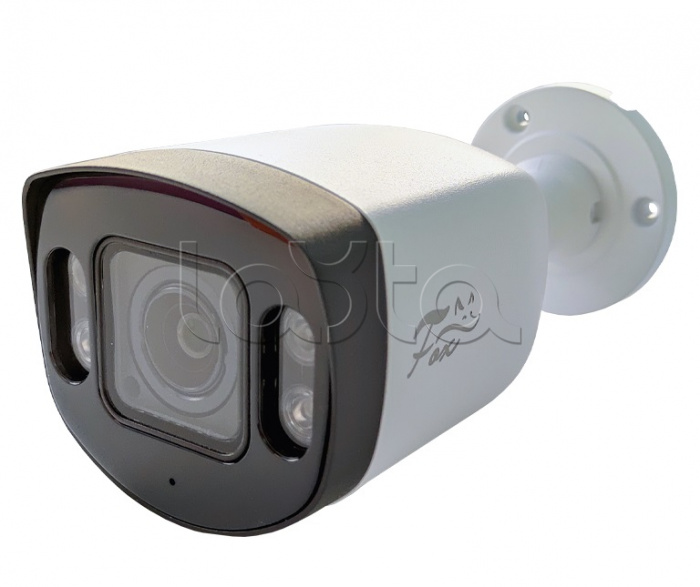 IP-камера видеонаблюдения в стандартном исполнении Fox FX-IPC-C40AP-IR H.265 AI