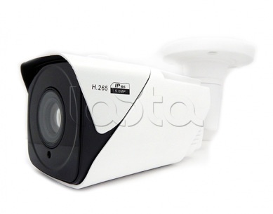IP-камера видеонаблюдения в стандартном исполнении Comonyx CO-RS54P