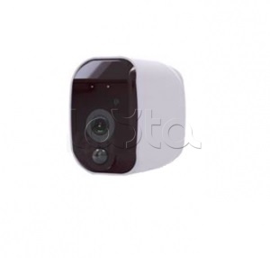 IP-камера видеонаблюдения в стандартном исполнении EverFocus ACE-DB04