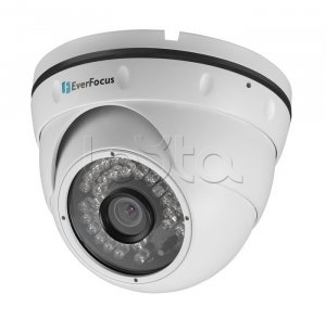 IP-камера видеонаблюдения купольная EverFocus ACE-IAV30