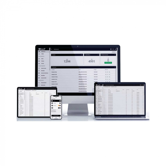 BAS-IP link business