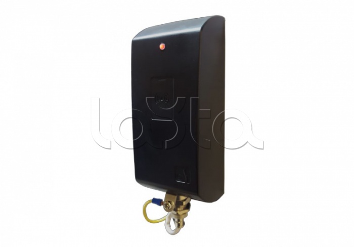 Считыватель хладостойкий Elsys Elsys-SW19-EH исп. 1