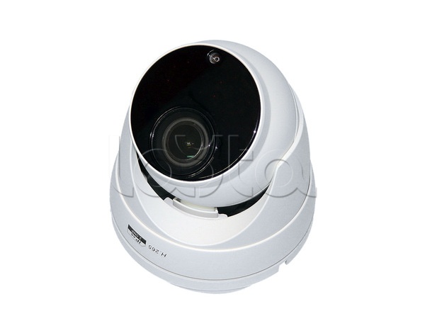 IP-камера видеонаблюдения купольная ComOnyX CO-RD23Pv2