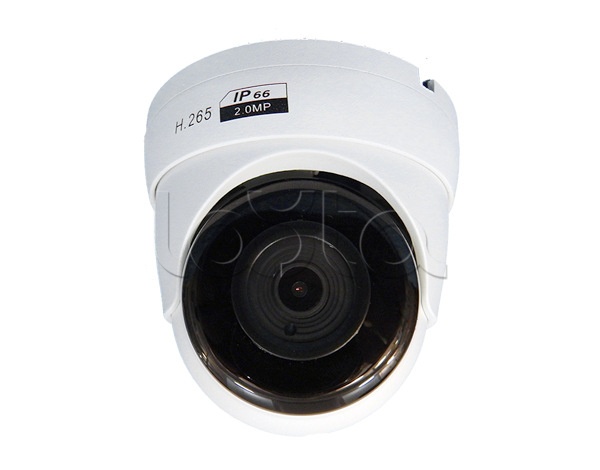 IP-камера видеонаблюдения купольная ComOnyX CO-RD21Pv2