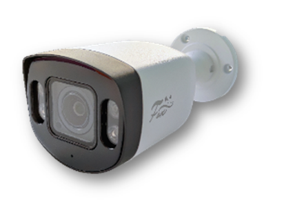 IP-камера в стандартном исполнении  Fox FX-IPC-C450FP-OC H.265 AI
